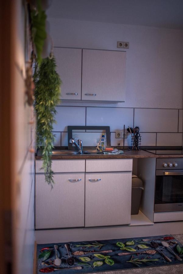 Ferienwohnung Gipfelblick Willingen  Ngoại thất bức ảnh